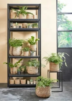 Panier à Plantes Avalon -Home24 Soldes 01ceb17f597e44df996e330637f05a5d