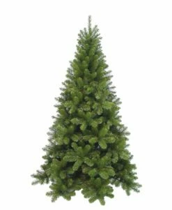 Sapin De Noël Tuscan