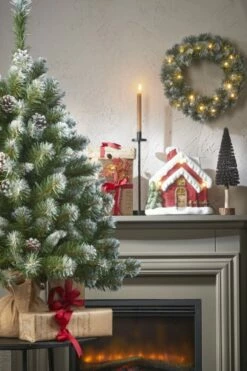 Sapin De Noël Empress -Home24 Soldes 0abff39621c84b269c9e46af4c4c6f87