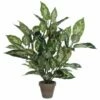 Plante Artificielle Dieffenbachia -Home24 Soldes 0dc089b125b34737b61d101d520eb638