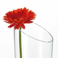 Vase Dynamic -Home24 Soldes 1000134571 181004 08163502 GALLERYIMAGES P000000001000134571