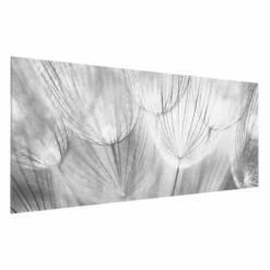 Tableau Déco Pissenlit En Gros Plan -Home24 Soldes 1000177814 190624 16440702035 GALLERYIMAGES P000000001000177814