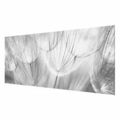 Tableau Déco Pissenlit En Gros Plan -Home24 Soldes 1000177814 190624 16440702036 GALLERYIMAGES P000000001000177814