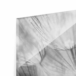 Tableau Déco Pissenlit En Gros Plan -Home24 Soldes 1000177814 190624 16440702037 GALLERYIMAGES P000000001000177814