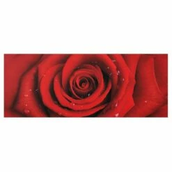 Tableau Déco Rosée Sur Rose Rouge