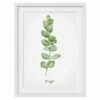 Impression Aquarelle Eucalyptus II -Home24 Soldes 1000202869 200211 10472400356 IMAGE P000000001000202869