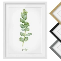 Impression Aquarelle Eucalyptus II 10 Impression Aquarelle Eucalyptus II -Home24 Soldes 1000202869 200211 11314801937 DETAILS P000000001000202869