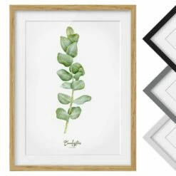 Impression Aquarelle Eucalyptus IV -Home24 Soldes 1000202885 200211 11315002023 DETAILS P000000001000202885