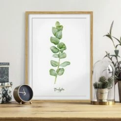 Impression Aquarelle Eucalyptus IV -Home24 Soldes 1000202885 200211 11315002024 DETAILS P000000001000202885