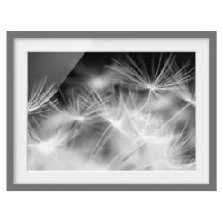 Tableau Déco Pissenlit III