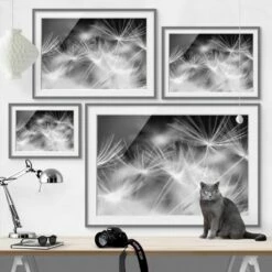 Tableau Déco Pissenlit III -Home24 Soldes 1000203137 200211 11321103399 DETAILS P000000001000203137