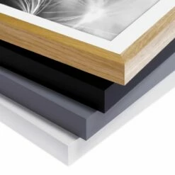 Tableau Déco Pissenlit III -Home24 Soldes 1000203137 200211 11321103400 DETAILS P000000001000203137