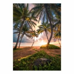 Komar Papier Peint Intissé Vertical Paradise