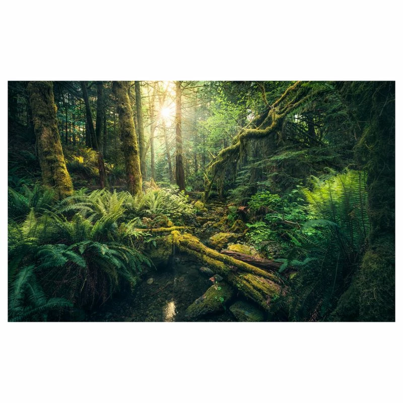 Komar Papier Peint Intissé Elves Cathedral 3 Komar Papier Peint Intissé Elves Cathedral