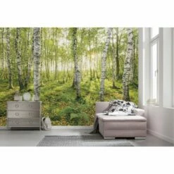 Komar Papier Peint Intissé Birch Trees -Home24 Soldes 1000221075 200904 15504400405 MOOD DETAILS P000000001000221075 mood