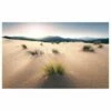 Komar Papier Peint Intissé Vivid Dunes 2 Komar Papier Peint Intissé Vivid Dunes -Home24 Soldes 1000221084 200904 15504500421 IMAGE P000000001000221084