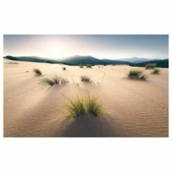 Komar Papier Peint Intissé Vivid Dunes