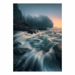 Komar Papier Peint Intissé Cry Of The Sea