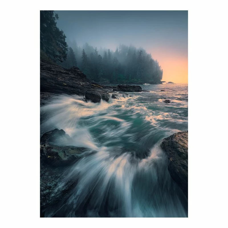 Komar Papier Peint Intissé Cry Of The Sea 3 Komar Papier Peint Intissé Cry Of The Sea