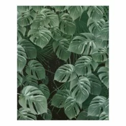 Komar Papier Peint Intissé Monstera On Marble