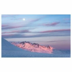 Komar Papier Peint Intissé Purple Dinner