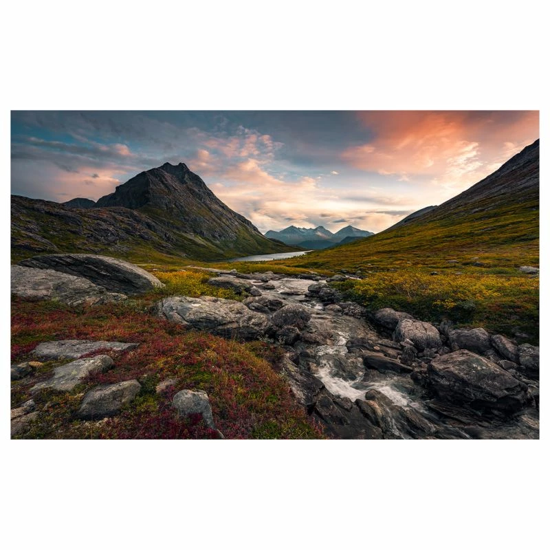 Komar Papier Peint Intissé Paradis Sauvage 3 Komar Papier Peint Intissé Paradis Sauvage