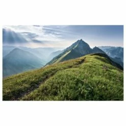 Komar Papier Peint Intissé Green Vein