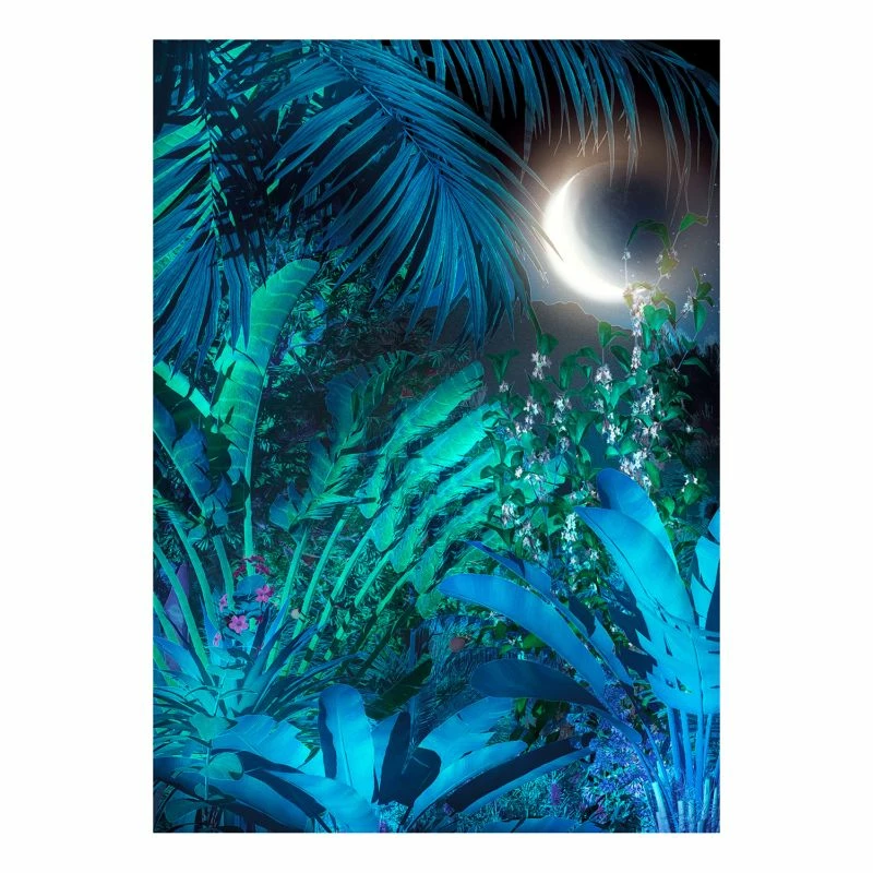 Komar Papier Peint Intissé Intense 3 Komar Papier Peint Intissé Intense