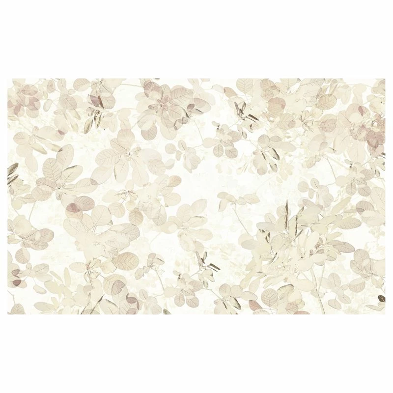 Komar Papier Peint Intissé Sheer 3 Komar Papier Peint Intissé Sheer