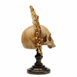 Objet Déco King Skull -Home24 Soldes 1000277547 210707 09481200142 DETAILS P000000001000277547