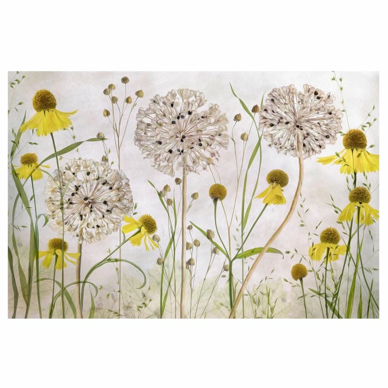 Papier Peint Intissé Allium Et Helenium 3 Papier Peint Intissé Allium Et Helenium