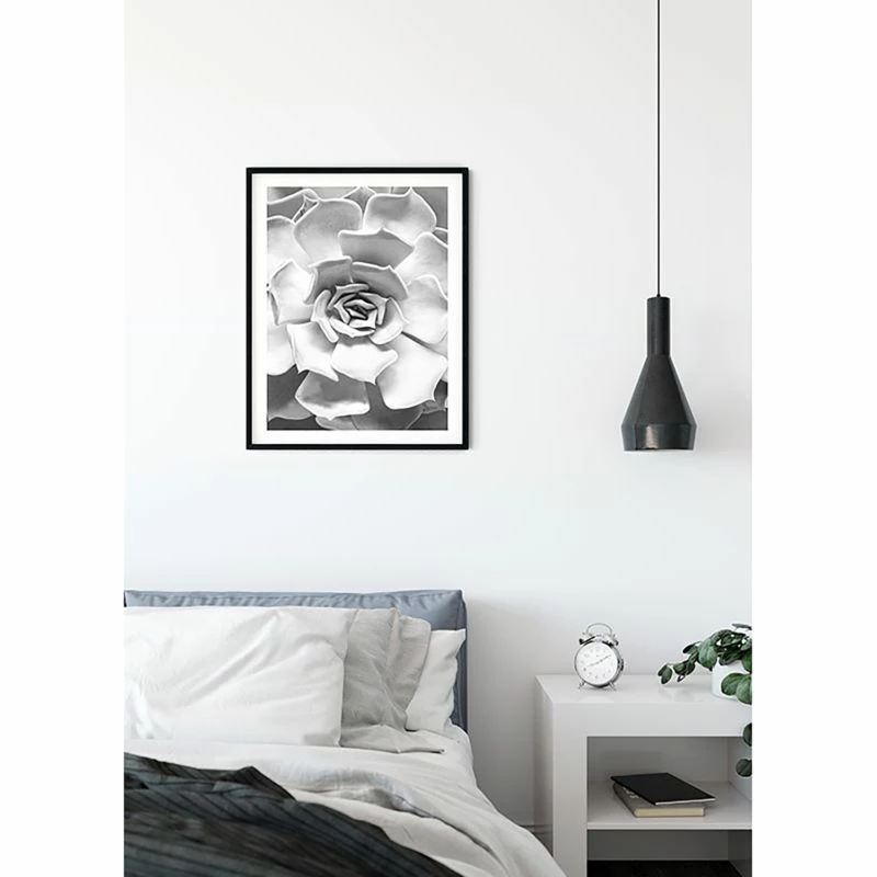 Komar Tableau Déco Succulent Closeup 8 Komar Tableau Déco Succulent Closeup – Image 6