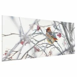 Tableau En Verre Jaseur Dans Un Arbre -Home24 Soldes 1000300569 211022 14372300550 DETAILS P000000001000300569
