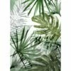 Papier Peint Intissé Pure Monstera -Home24 Soldes 1000304905 211104 11261800290 IMAGE P000000001000304905