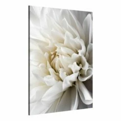 Tableau Déco White Dahlia -Home24 Soldes 1000312729 211209 11501400448 DETAILS P000000001000312729