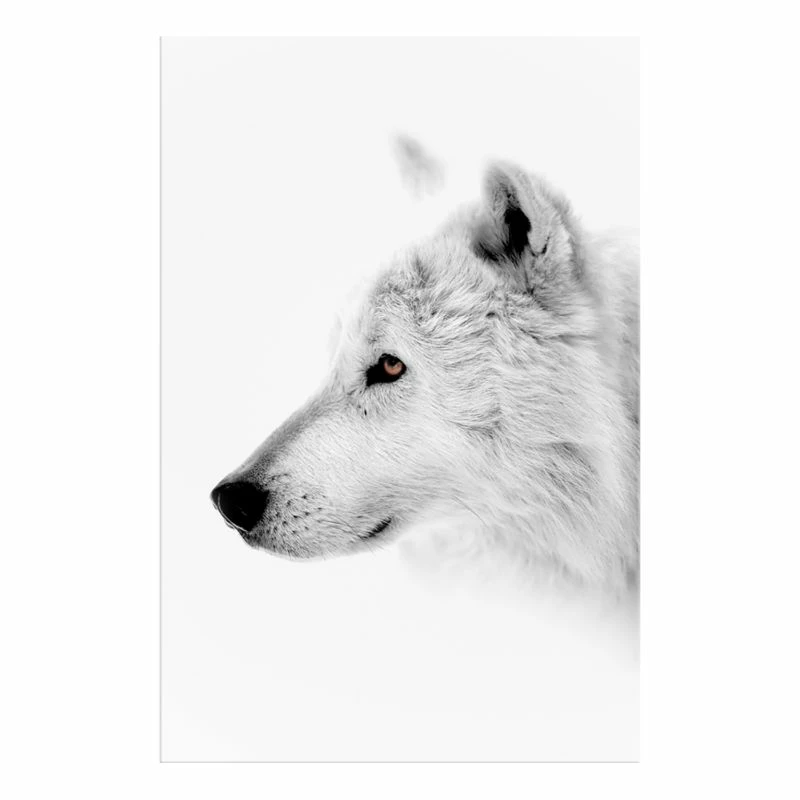 Tableau Déco Amber Gaze 3 Tableau Déco Amber Gaze