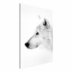 Tableau Déco Amber Gaze 9 Tableau Déco Amber Gaze -Home24 Soldes 1000313087 211209 11511901980 DETAILS P000000001000313087