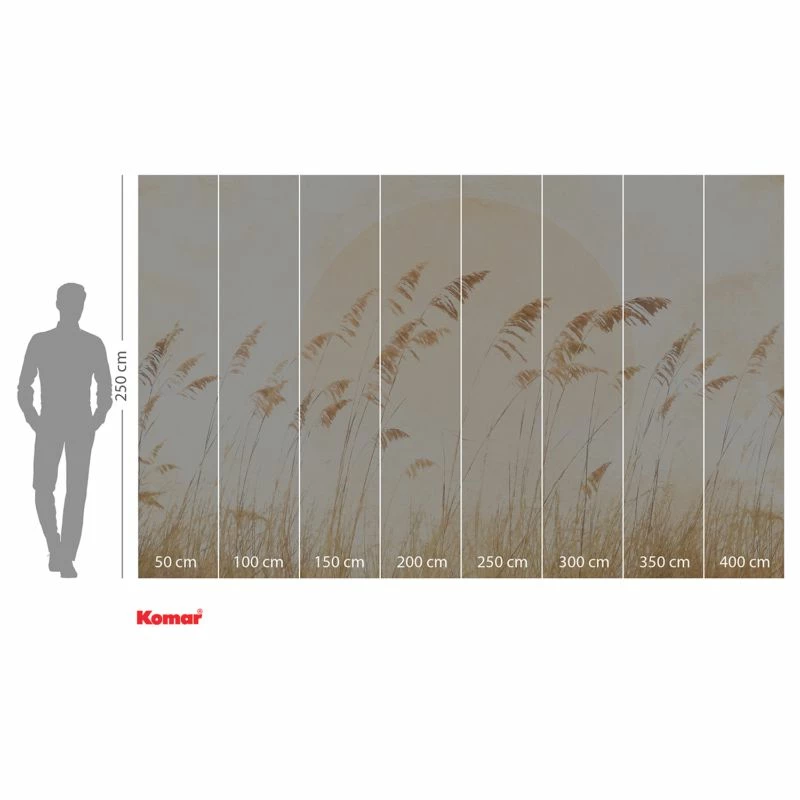 Komar Papier Peint Intissé Dune Grass 6 Komar Papier Peint Intissé Dune Grass – Image 4