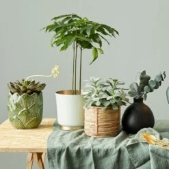 Vase MIO -Home24 Soldes 1000337859 220225 021 MOOD DETAILS P000000001000337859 mood