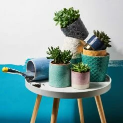 Pot De Fleur BLOOMY II -Home24 Soldes 1000341414 220317 022 MOOD DETAILS P000000001000341414 mood