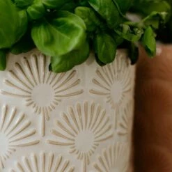 Pot De Fleur BLOOMY II -Home24 Soldes 1000341414 220317 023 MOOD DETAILS P000000001000341414 mood