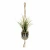 Suspension Plante Ojika -Home24 Soldes 1000342813 220411 010 IMAGE P000000001000342813