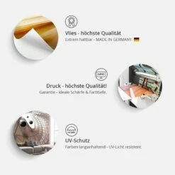 Papier Peint Intissé Brawling Penguins -Home24 Soldes 1000348851 220519 040 DETAILS P000000001000348851