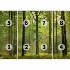 Papier Peint Autumn Forest I -Home24 Soldes 1000357435 220804 030 DETAILS P000000001000357435