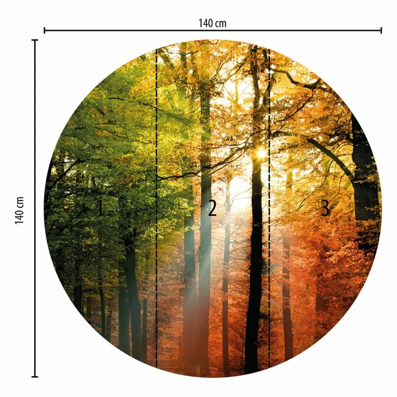 Papier Peint Autumn 5 Papier Peint Autumn – Image 3