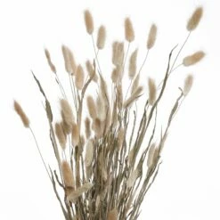 Fleurs Séchées FLOWER MARKET Bouquet -Home24 Soldes 1000364948 220802 040 DETAILS P000000001000364948