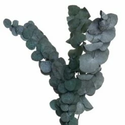 Fleurs Séchées FLOWER MARKET Bouquet -Home24 Soldes 1000364948 220802 060 DETAILS P000000001000364948