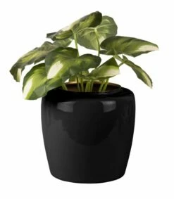 PRESENT TIME Pot De Fleurs Grand -Home24 Soldes 1cd53cbf0f78495ba9ce54711ea0f016.cropped 365 149 1062 1217.processed