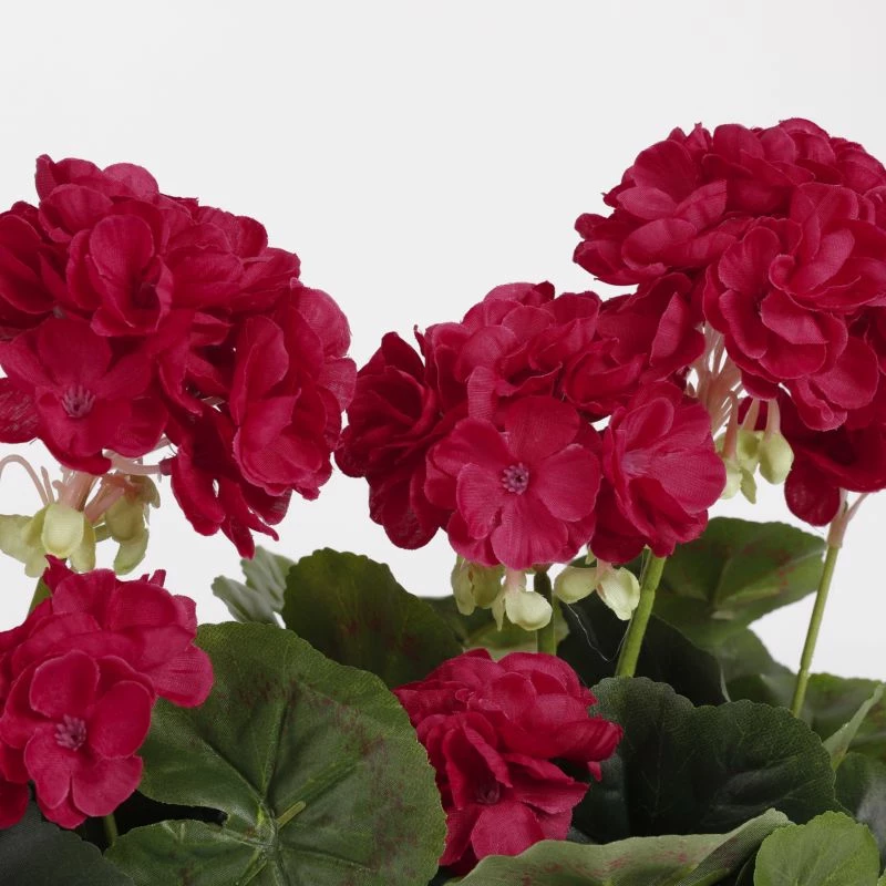 Plante Artificielle Geranien 9 Plante Artificielle Geranien – Image 7