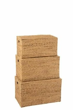 Set De 3 Paniers Rectangulaire Jacynthe 11 Set De 3 Paniers Rectangulaire Jacynthe -Home24 Soldes 27061a72d8e74e79bd17c4ecb9d399cc